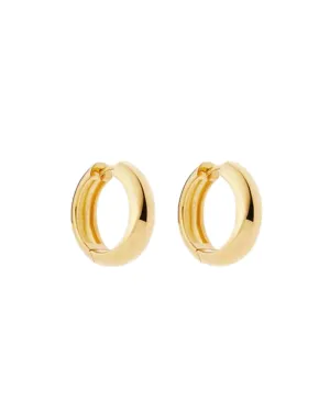 18k Gold Vermeil Bold Small Hoops